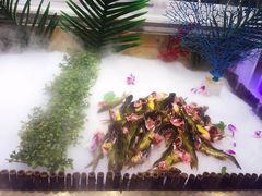 -红透天牛排海鲜自助(长和国际直营店)