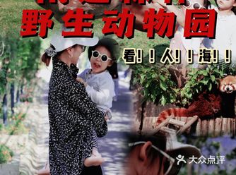 十一去哪儿嗨？国庆亲子游｜南通森林野生动物园超全攻略️