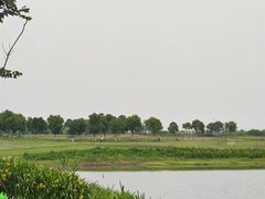 -洪湖湿地生态园