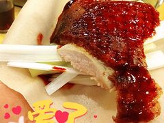 片皮鸭-鸿达渔港
