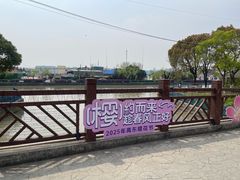 -高东镇樱花园