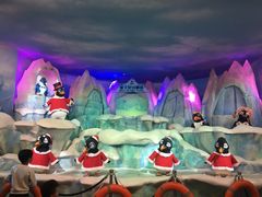 -帝企鹅自助餐厅•儿童岛•真企鹅(长隆企鹅酒店)