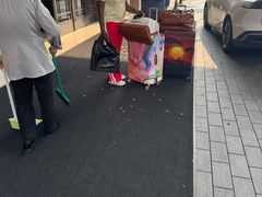 -上海浦东滨江喜来登酒店