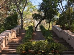 -九龙公园