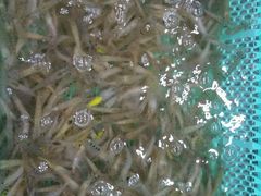 -渔傅·蓝海岸霞浦海鲜(正祥店)