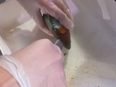 -十八字金·银饰·拼豆·开蚌DIY(魏公芳华里店)