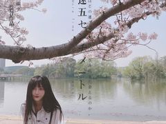 -新江湾城公园