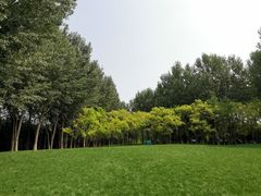 -塘沽森林公园