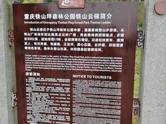 -铁山坪森林公园