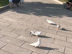 -宋庆龄陵园