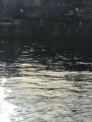 -星海水上乐园(星海广场圣亚店)