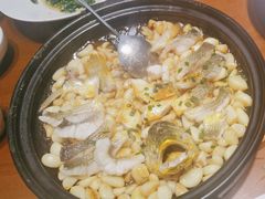 砂锅焗大陈岛黄鱼-宴小馆·小海鲜青岛菜(五四广场店)