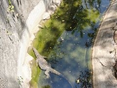 -野象谷景区