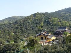 -树山生态村