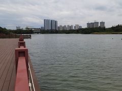 -五缘湾湿地公园