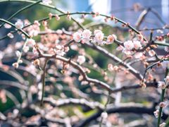-静安雕塑公园