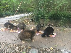 -苏州河梦清园环保主题公园