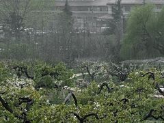 -崂山风景区-大河东游客中心