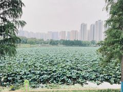 -武汉动物园