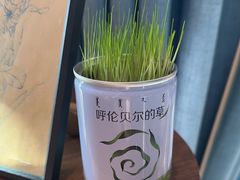 -很久以前羊肉串(昌里路三钢里店)