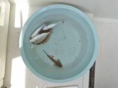 -五缘湾游艇帆船俱乐部