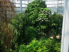 -郑州植物园