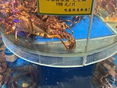 -新海渔港·胶东海鲜家常菜·家宴(奥体中心店)