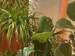 -桂满陇·蟹黄小笼汤包(中山公园店)