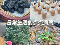 -蘇河湾·新鲁菜·泰山宴(泰山店)