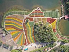 -广州市石门国家森林公园