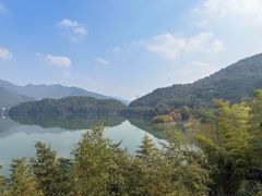 -四明山国家森林公园