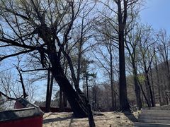 -阳台山自然风景区