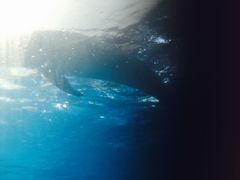 -波塞冬旅游度假区