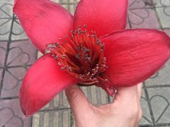-惠州科技馆
