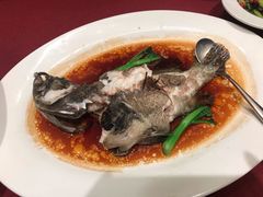 -顺峰(农展馆店)