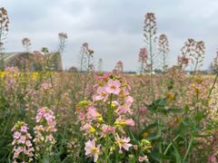 -中国天府农业博览园