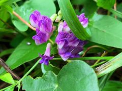 -碓臼峪自然风景区