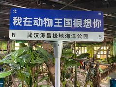 -海合安武汉极地海洋公园