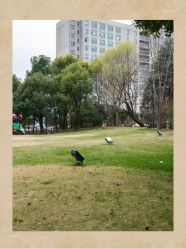 -耐味林月子会所(黄兴公园店)