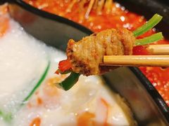 -钢管厂五区小郡肝火锅串串香(清河店)