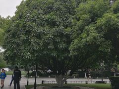 -常州古运河南大街文化旅游区-人民公园