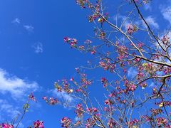 -那考河湿地公园