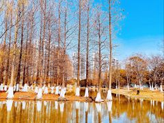 -白塘生态植物园