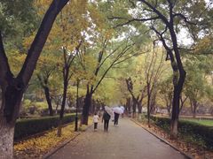 -山东大学(趵突泉校区)