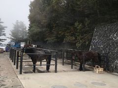 -富士山吉田線五合目