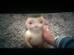 -博纳国际影城(淄博店)