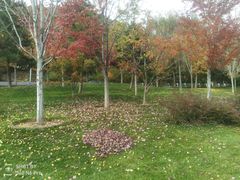 -北京雁栖湖国际会展中心