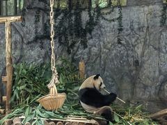 -深圳野生动物园