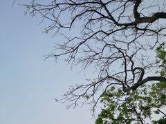 -沙美村