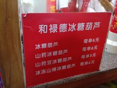 -和禄德冰糖葫芦